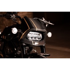 Zard 120th ANNIVERSARY LIMITED EDITION Carbon Fiber Headlight Fairing Kit for Harley Davidson Sportster S 1250 Zard 120th ANNIVERSARY LIMITED EDITION Carbon Fiber Headlight Fairing Kit for Harley Davidson Sportster S 1250
